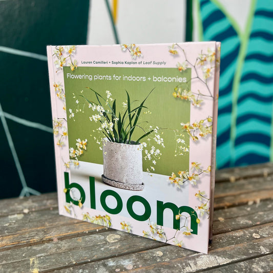 Bloom Book