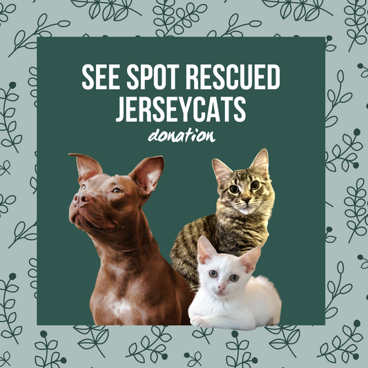 Donation to See Spot Rescue & JerseyCats