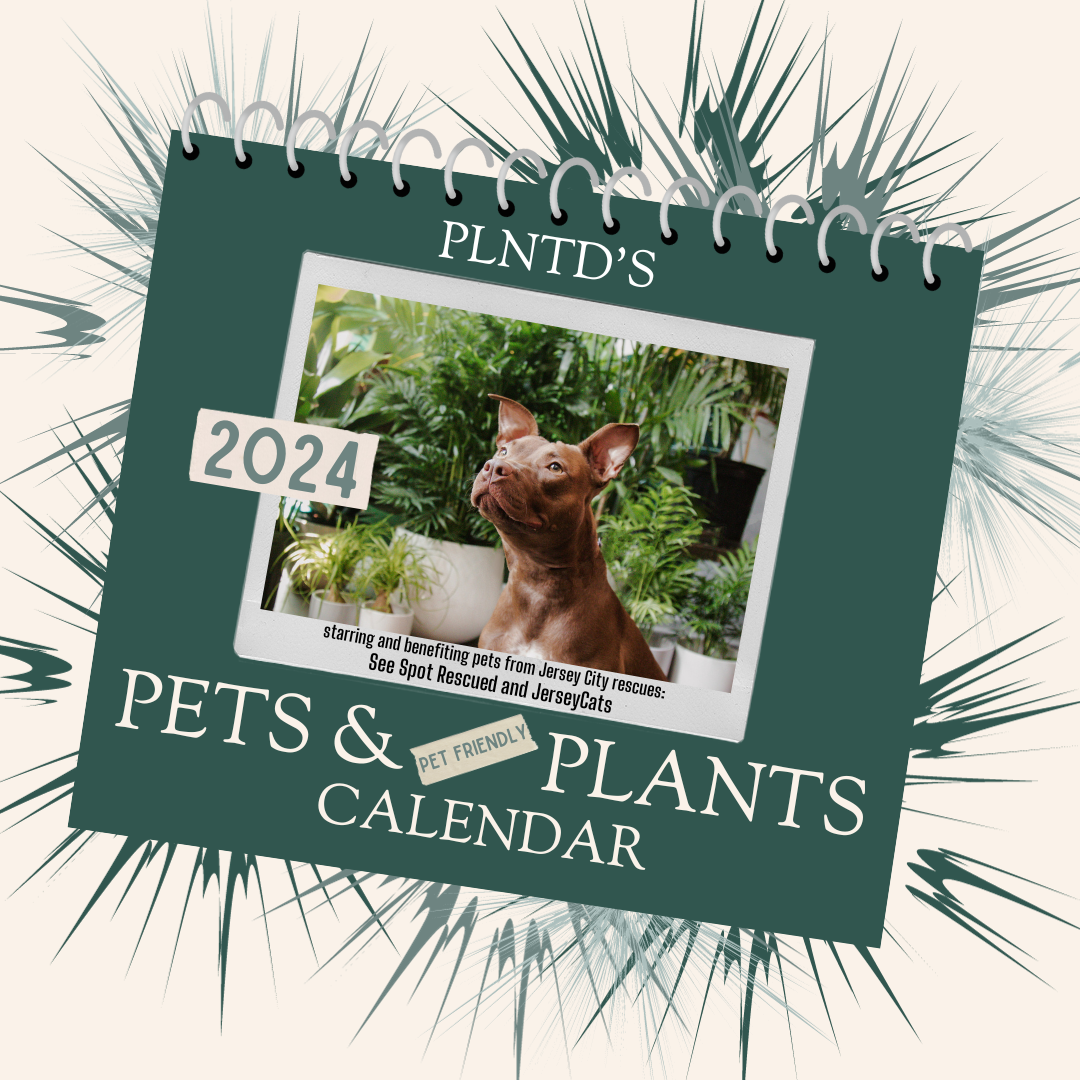 Pets & Plants Calendar